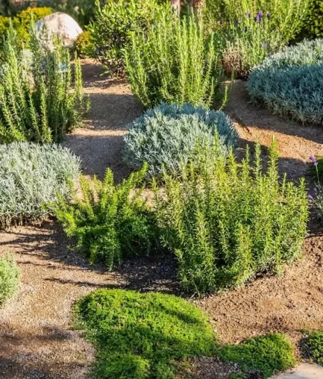 bb2ef9114088561a225add0dd8c49883a386c49a