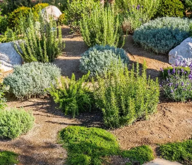 bb2ef9114088561a225add0dd8c49883a386c49a